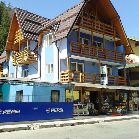 Pensiunea Aurora - Great Hostel ボイネアサ エクステリア 写真