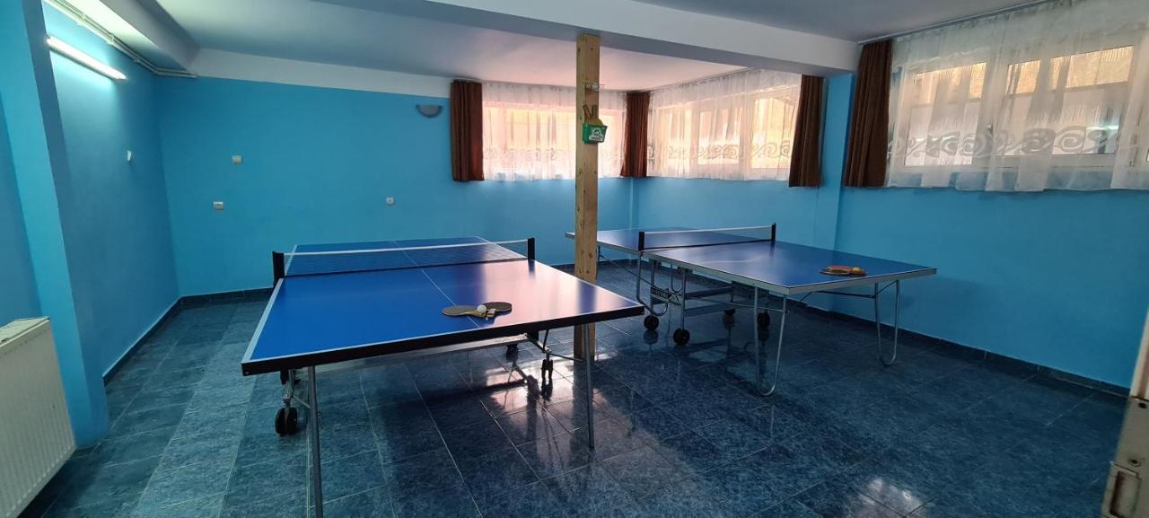 Pensiunea Aurora - Great Hostel ボイネアサ エクステリア 写真