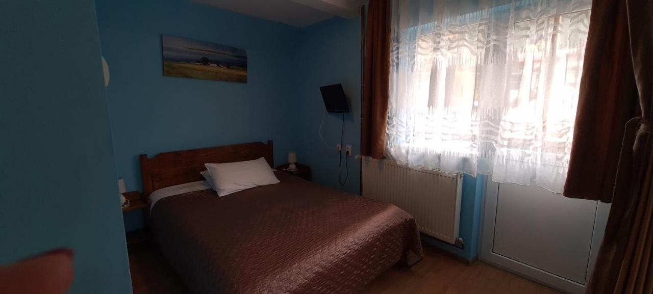 Pensiunea Aurora - Great Hostel ボイネアサ エクステリア 写真