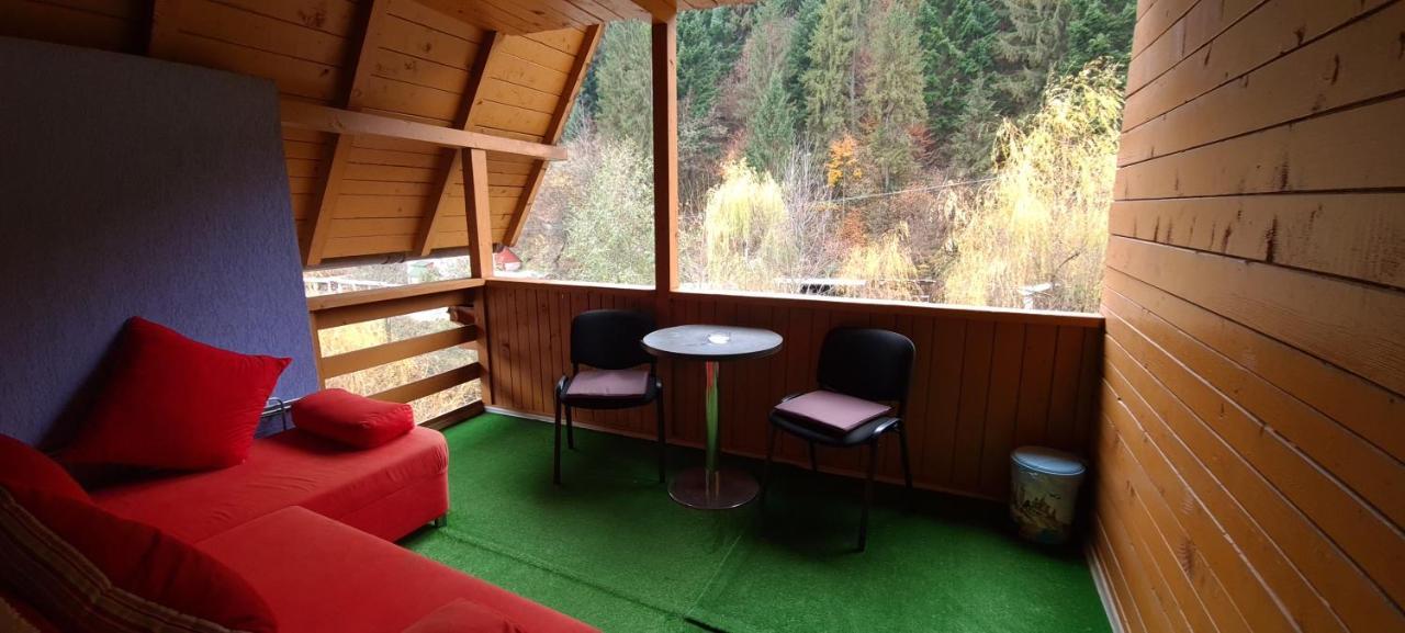 Pensiunea Aurora - Great Hostel ボイネアサ エクステリア 写真