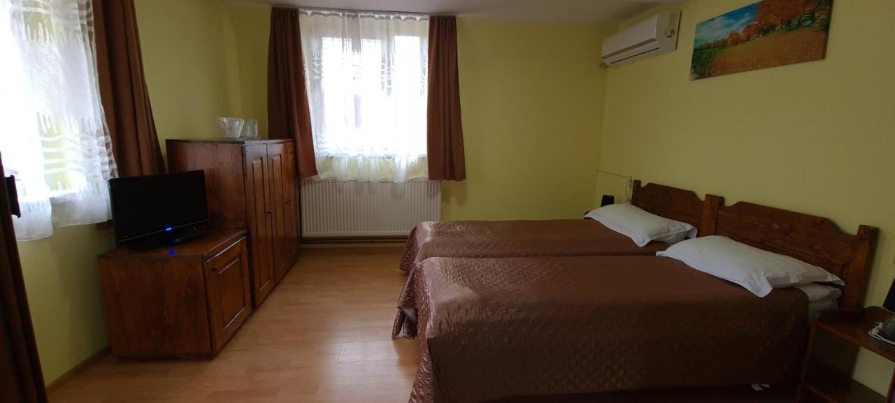Pensiunea Aurora - Great Hostel ボイネアサ エクステリア 写真