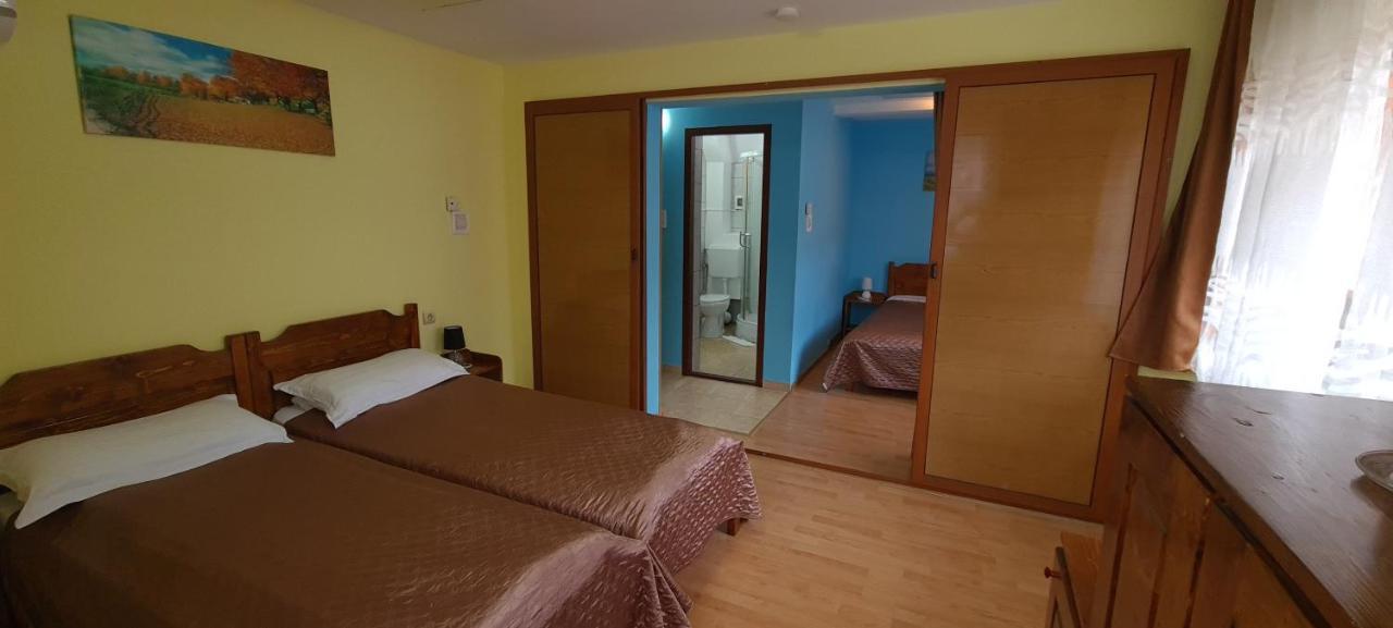 Pensiunea Aurora - Great Hostel ボイネアサ エクステリア 写真