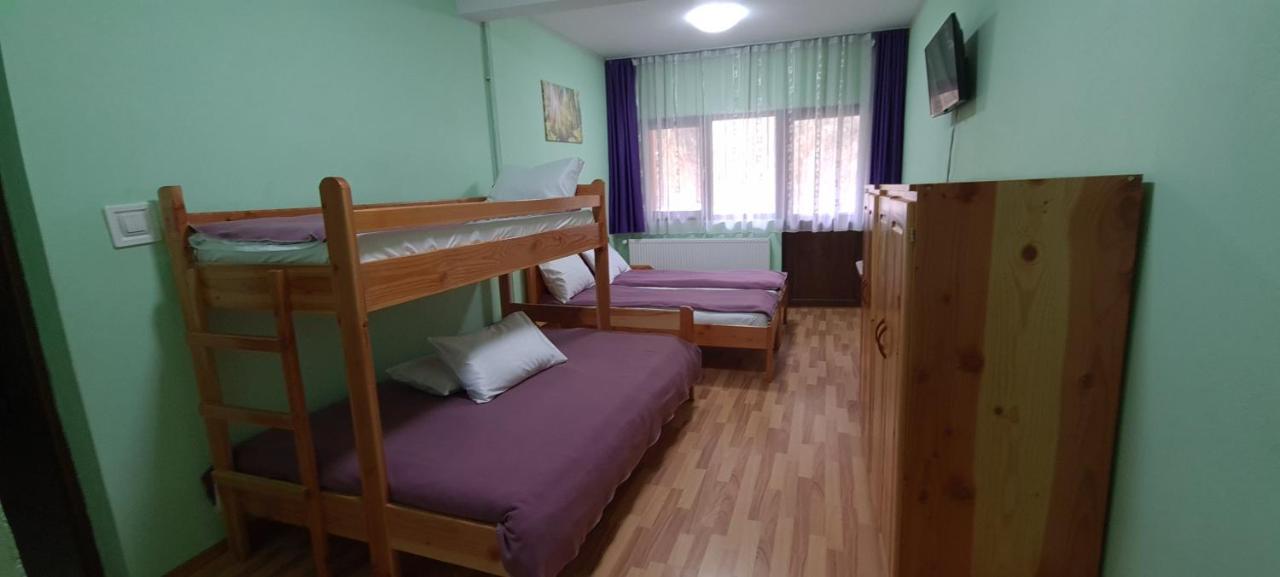 Pensiunea Aurora - Great Hostel ボイネアサ エクステリア 写真
