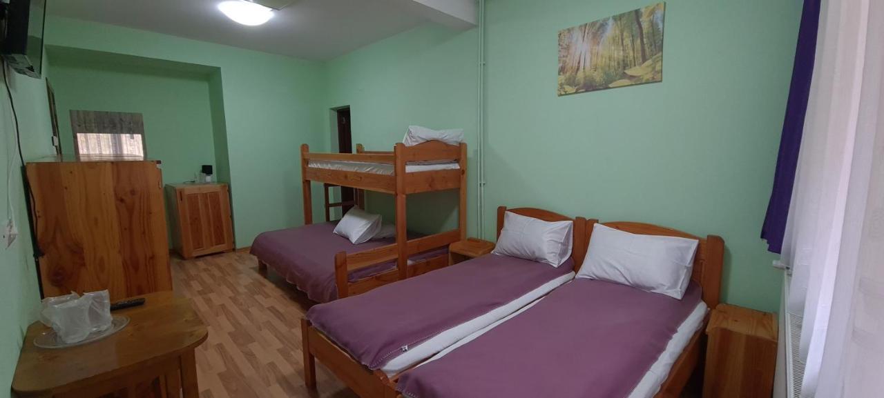 Pensiunea Aurora - Great Hostel ボイネアサ エクステリア 写真