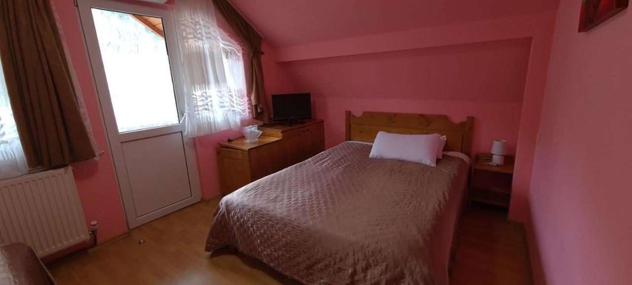 Pensiunea Aurora - Great Hostel ボイネアサ エクステリア 写真