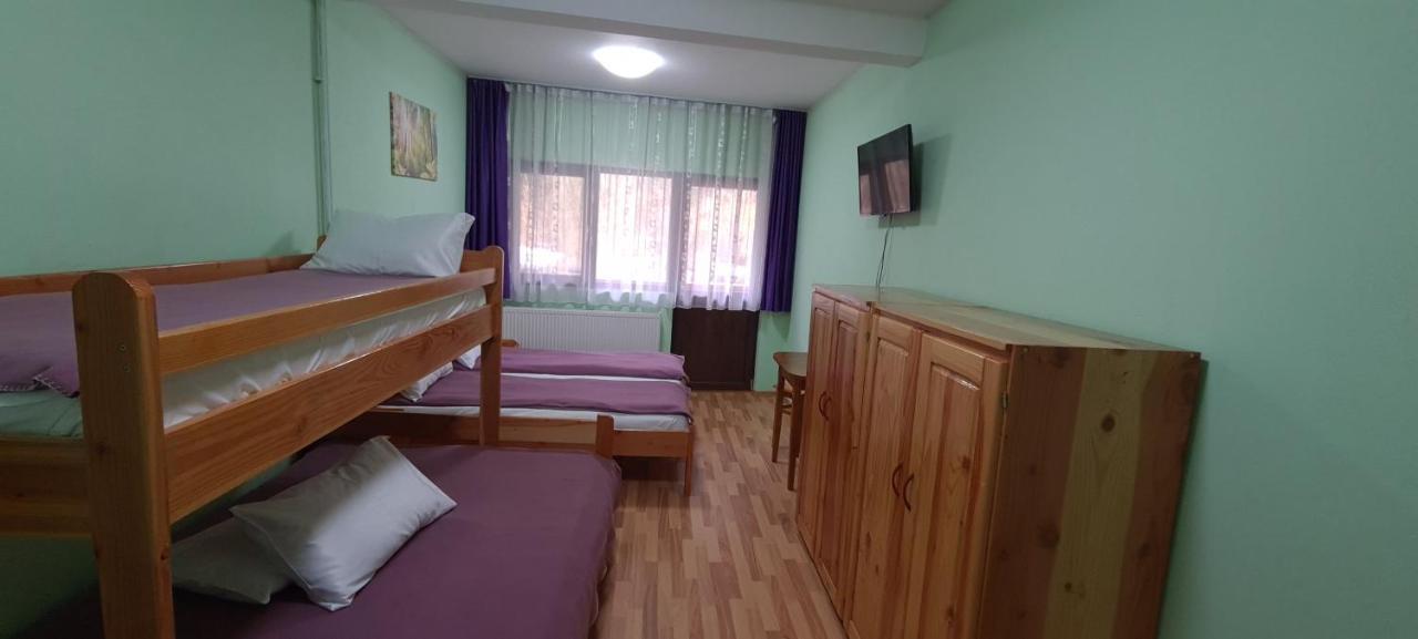 Pensiunea Aurora - Great Hostel ボイネアサ エクステリア 写真