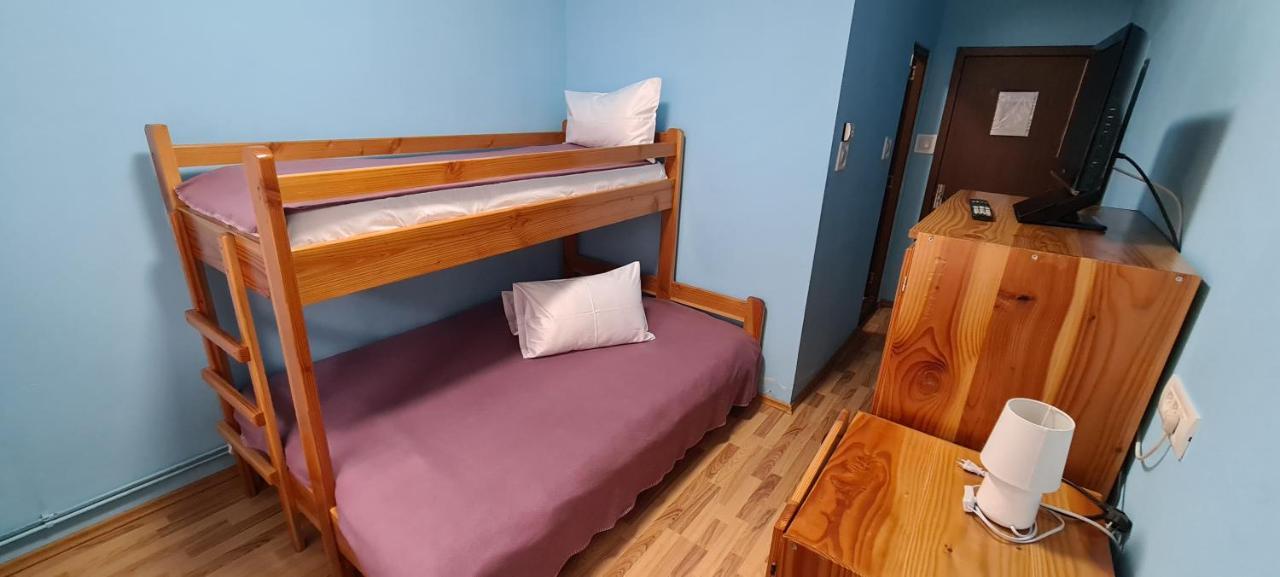 Pensiunea Aurora - Great Hostel ボイネアサ エクステリア 写真
