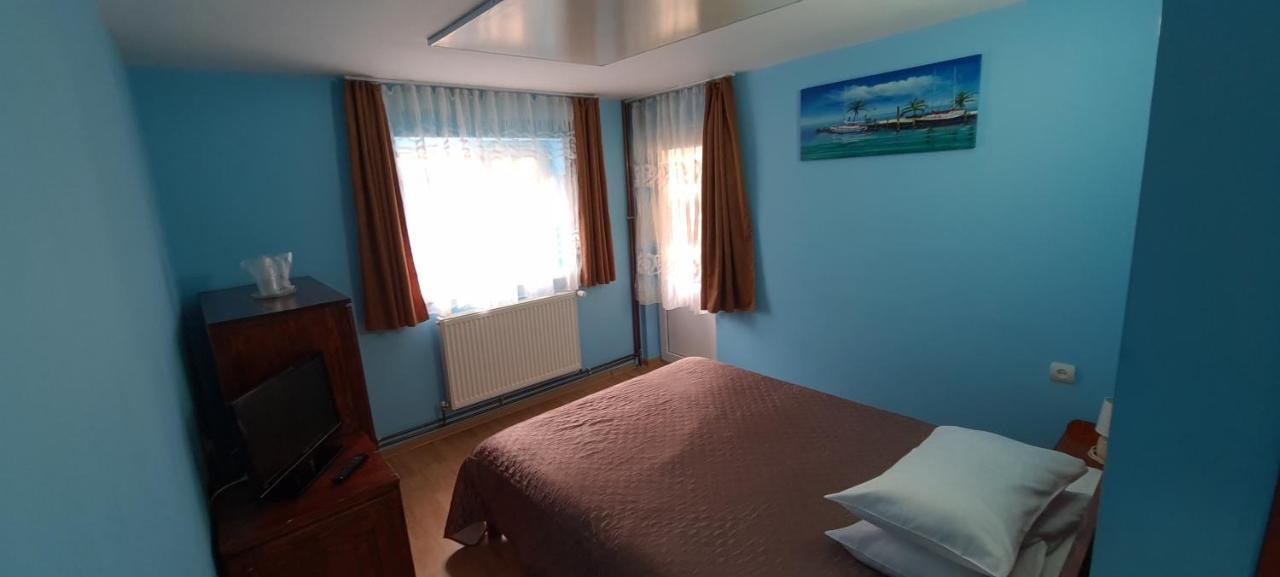 Pensiunea Aurora - Great Hostel ボイネアサ エクステリア 写真