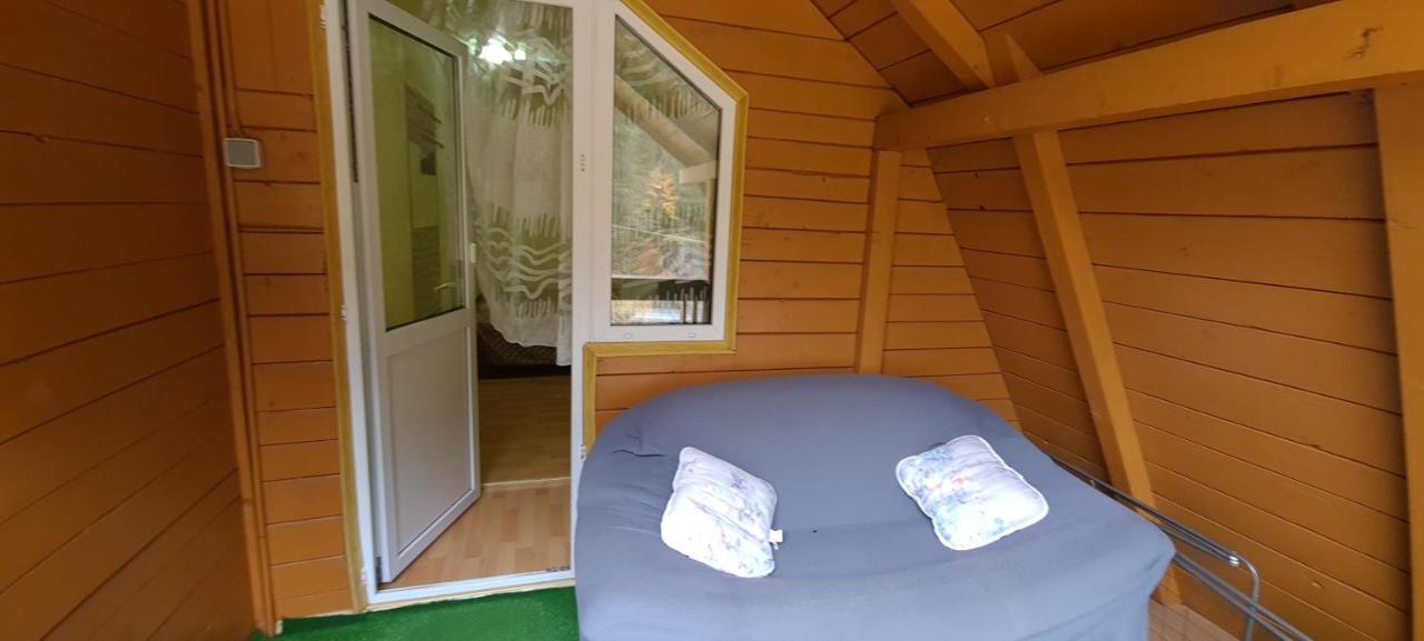 Pensiunea Aurora - Great Hostel ボイネアサ エクステリア 写真