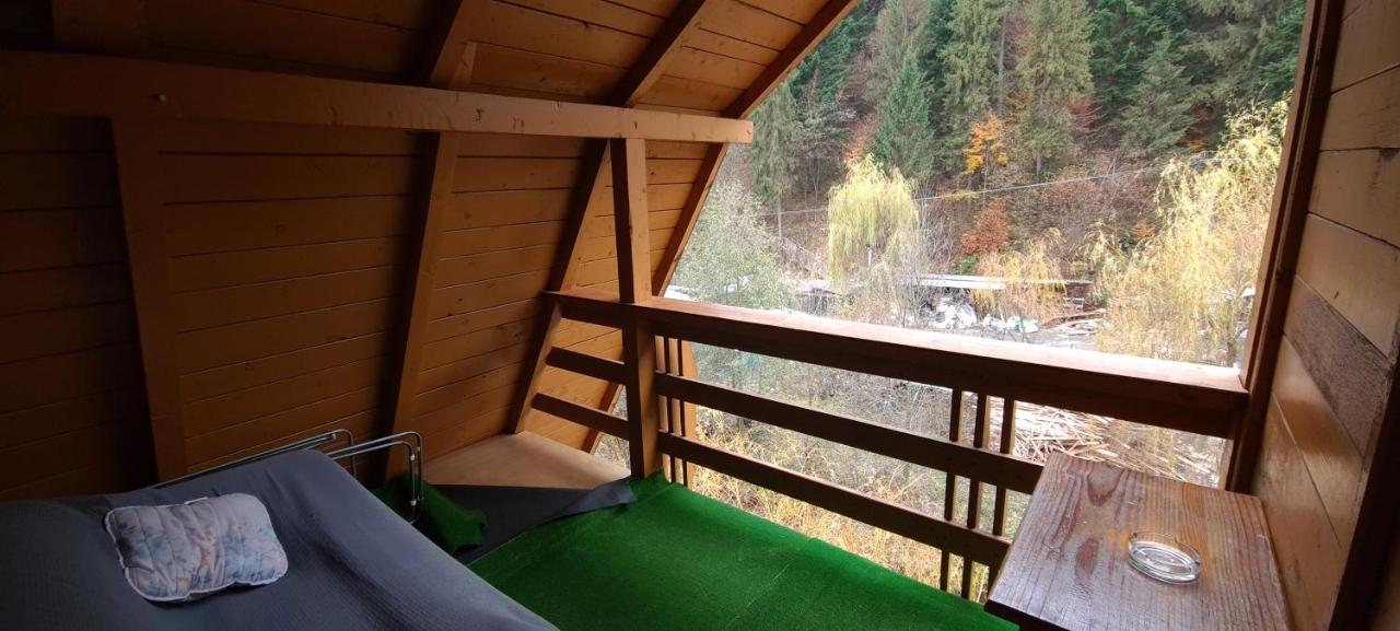 Pensiunea Aurora - Great Hostel ボイネアサ エクステリア 写真