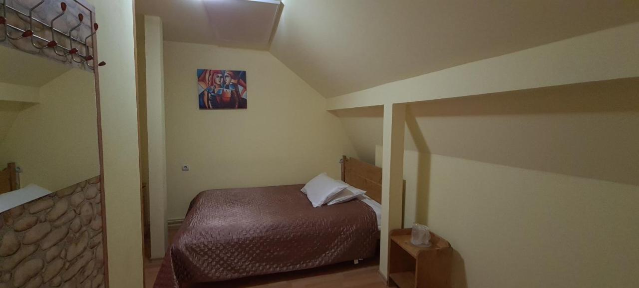 Pensiunea Aurora - Great Hostel ボイネアサ エクステリア 写真