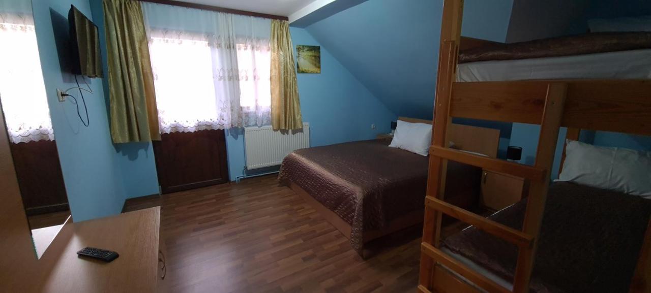 Pensiunea Aurora - Great Hostel ボイネアサ エクステリア 写真