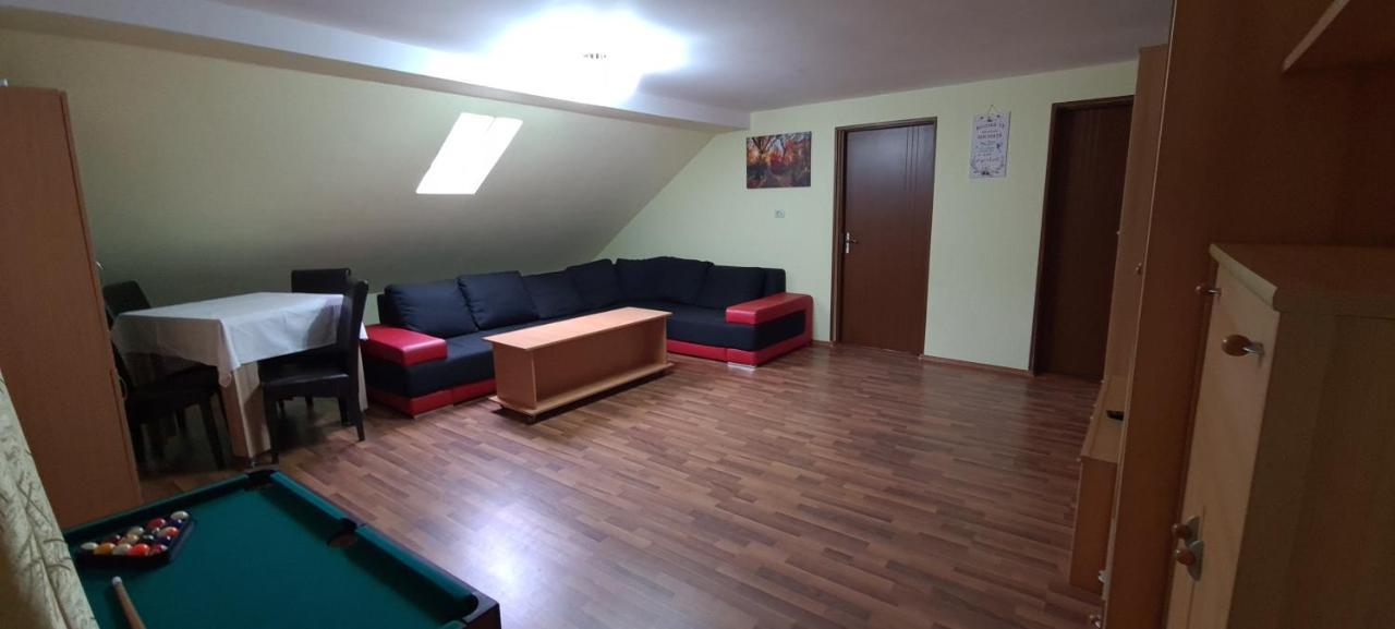 Pensiunea Aurora - Great Hostel ボイネアサ エクステリア 写真
