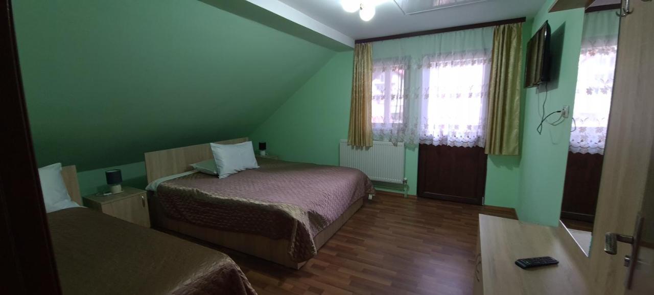Pensiunea Aurora - Great Hostel ボイネアサ エクステリア 写真