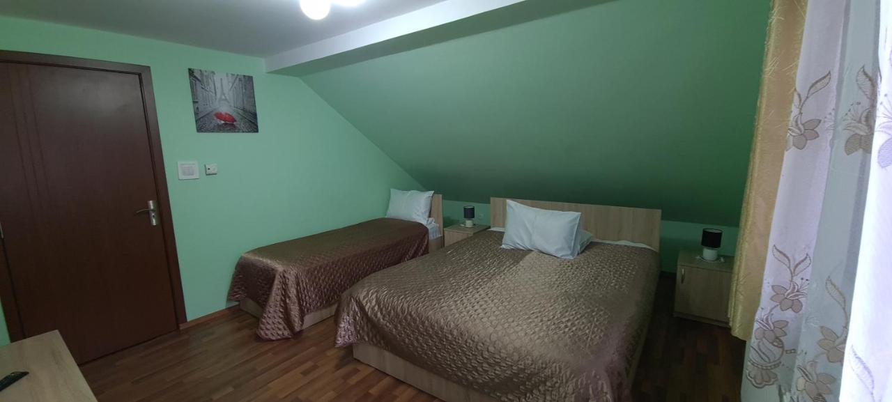 Pensiunea Aurora - Great Hostel ボイネアサ エクステリア 写真
