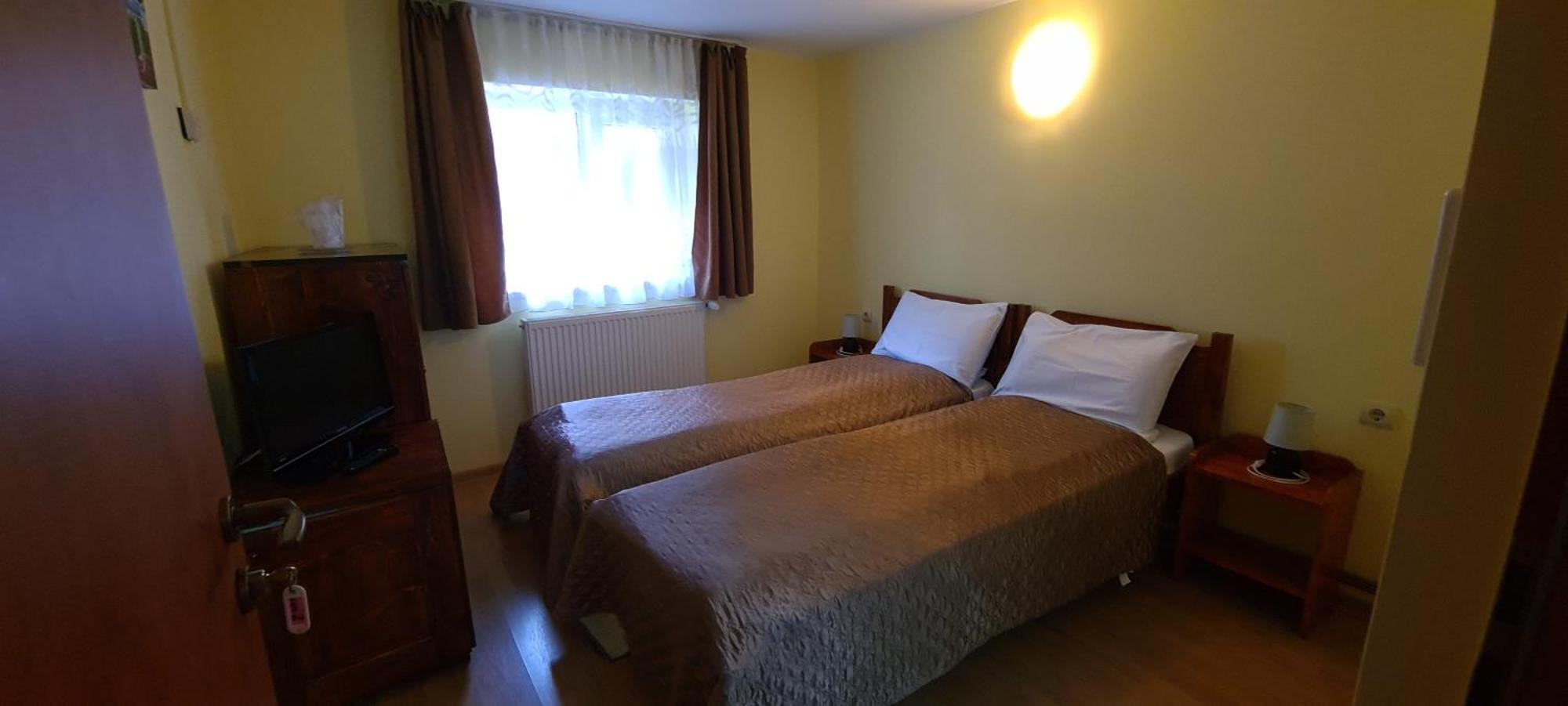 Pensiunea Aurora - Great Hostel ボイネアサ エクステリア 写真