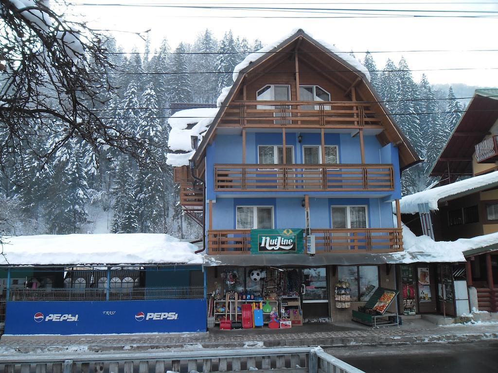 Pensiunea Aurora - Great Hostel ボイネアサ エクステリア 写真