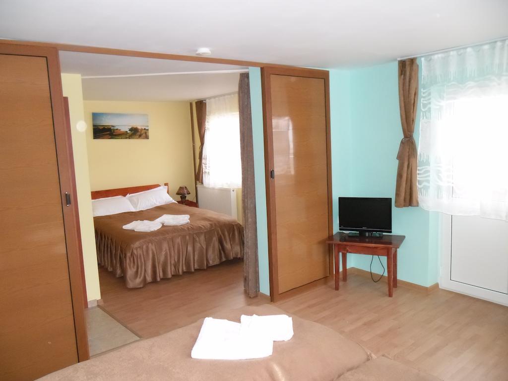 Pensiunea Aurora - Great Hostel ボイネアサ 部屋 写真