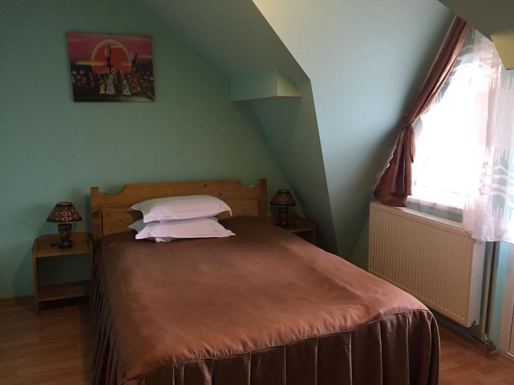 Pensiunea Aurora - Great Hostel ボイネアサ エクステリア 写真